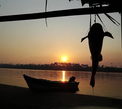 Empréstimo em Araguaina: Crédito rápido e fácil