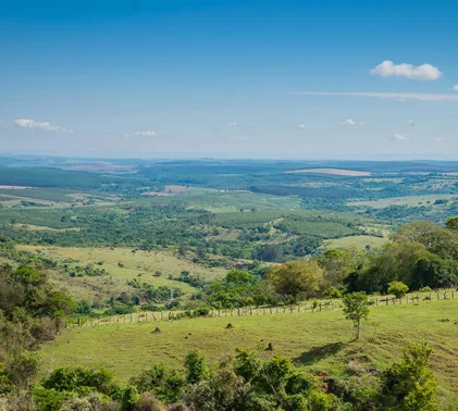 Empréstimo em Botucatu: Crédito rápido e fácil