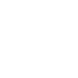 Grupo Qista